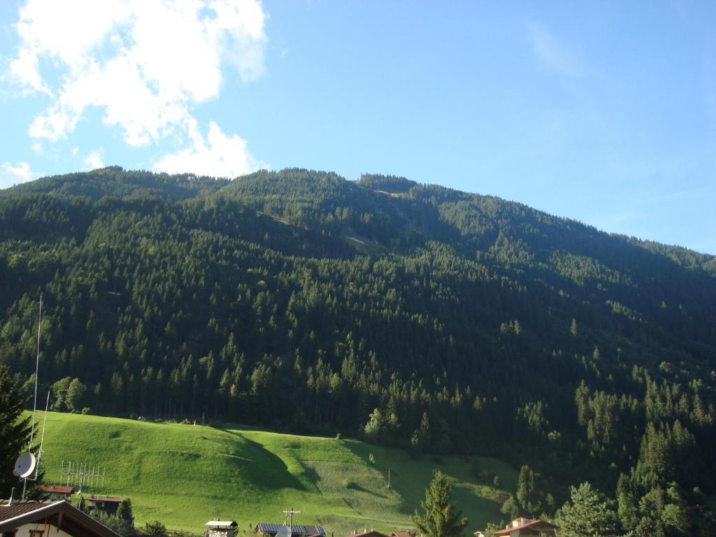 Apartment Gertraud Und Peter Geisler